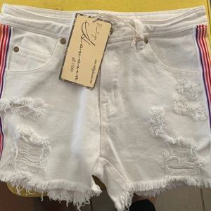Sz 25 Vintage Havana Shorts